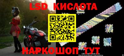 прущие грибы Жуковский