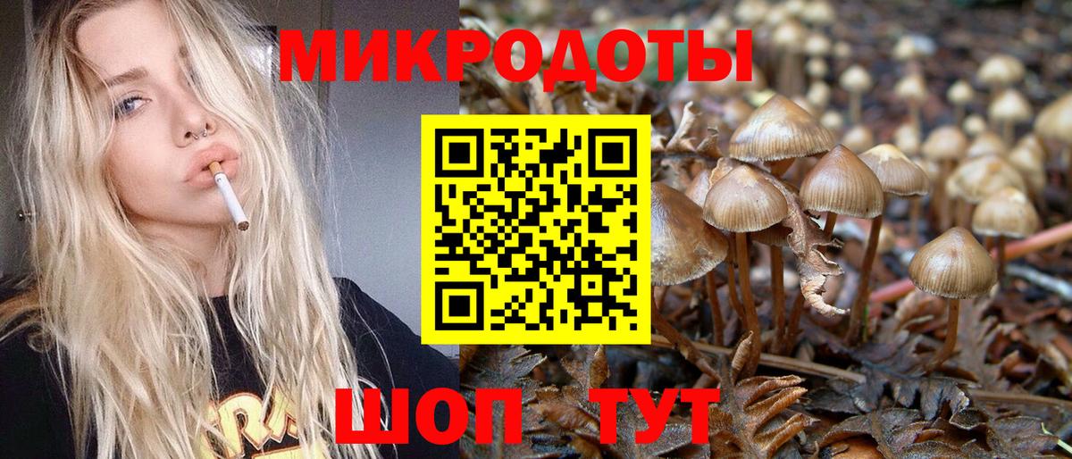 Псилоцибиновые грибы мухоморы Луга