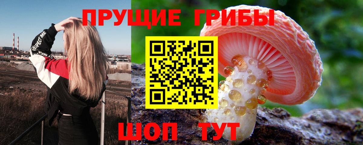 Луга  Псилоцибиновые грибы Psilocybine cubensis  Галлюциногенные грибы MAGIC MUSHROOMS  Вход с VPN 
